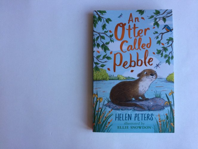 An Otter Called Pebble